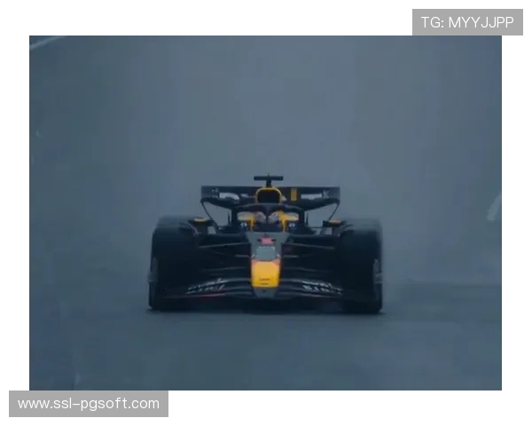 巴西大奖赛前瞻:诺里斯1分领跑积分榜,维斯塔潘期待雨战逆袭